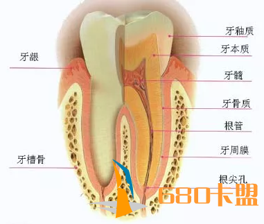 这2款牙膏我试了，不瞒你说，没用