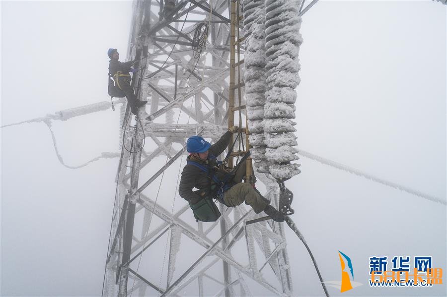 和平精英辅助群雨雪冰冻 他们迎着上